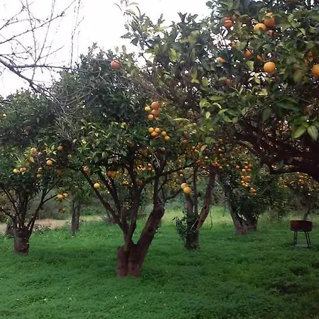 In Bb - The Beauty Of Nature * Parghelia